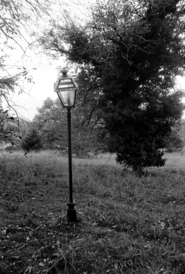 Photographie intitulée "Solitude" par Frédéric Duchesnay, Œuvre d'art originale, Photographie argentique