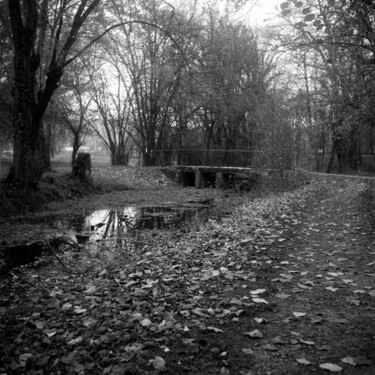 Photographie intitulée "L'hiver" par Frédéric Duchesnay, Œuvre d'art originale, Photographie argentique