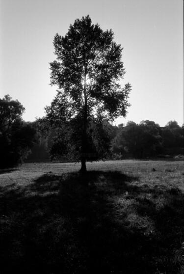 Fotografie mit dem Titel "Silhouette" von Frédéric Duchesnay, Original-Kunstwerk, Analog Fotografie