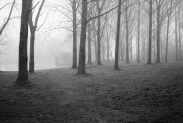 Photographie intitulée "Matinale." par Frédéric Duchesnay, Œuvre d'art originale, Photographie argentique