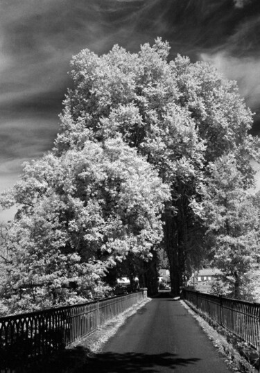 Photography titled "Route de campagne" by Frédéric Duchesnay, Original Artwork, Analog photography