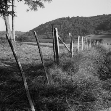 Photographie intitulée "Les champs" par Frédéric Duchesnay, Œuvre d'art originale, Photographie argentique
