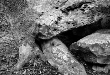 Photography titled "Bois et pierre" by Frédéric Duchesnay, Original Artwork, Analog photography