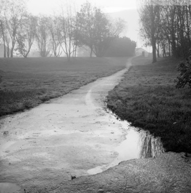 Photographie intitulée "humidité" par Frédéric Duchesnay, Œuvre d'art originale, Photographie argentique