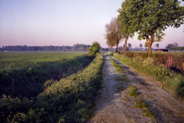 Photography titled "Chemin de terre" by Frédéric Duchesnay, Original Artwork, Analog photography