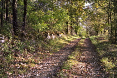 Photographie intitulée "Chemin d'automne." par Frédéric Duchesnay, Œuvre d'art originale, Photographie argentique