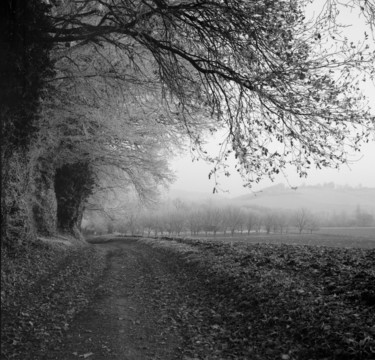 Photography titled "Chemin givré" by Frédéric Duchesnay, Original Artwork, Analog photography