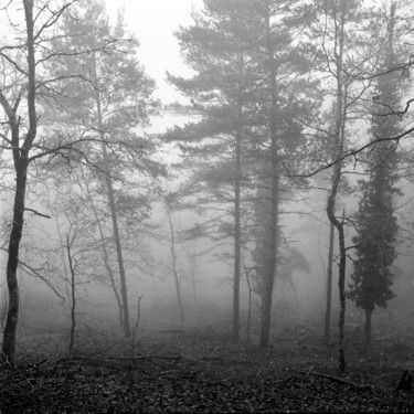 Photographie intitulée "brumes" par Frédéric Duchesnay, Œuvre d'art originale, Photographie argentique