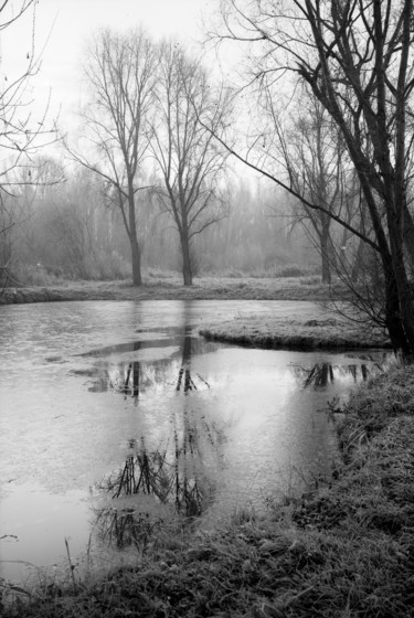 Photographie intitulée "Reflet coupé" par Frédéric Duchesnay, Œuvre d'art originale, Photographie argentique