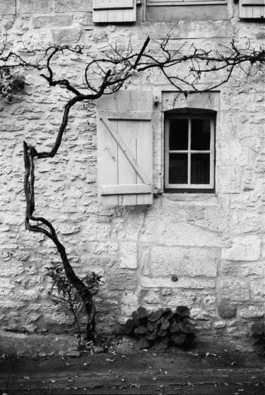Photographie intitulée "Fenêtre" par Frédéric Duchesnay, Œuvre d'art originale, Photographie argentique