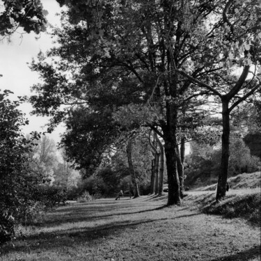 Fotografie getiteld "bank of a lake" door Frédéric Duchesnay, Origineel Kunstwerk, Film fotografie