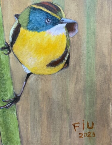 Pintura intitulada "Pájaro Fiu o 7 colo…" por Freddy Cerna, Obras de arte originais, Óleo