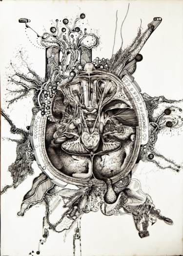 Disegno intitolato "Cerveau 1" da Frederic Babon, Opera d'arte originale, Altro