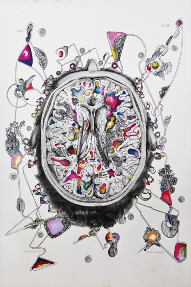 serie-episteme-cerveau.jpg Dessin intitulée "serie-episteme-cerv…" par Frederic Babon, Œuvre d'art originale