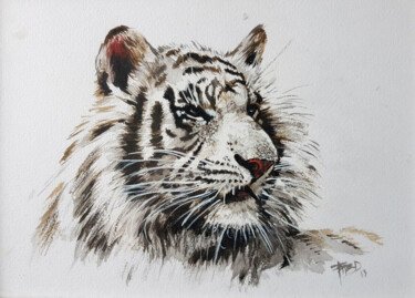 Peinture intitulée "Premier Tigre Blanc" par Frédéric Berrin, Œuvre d'art originale, Encre