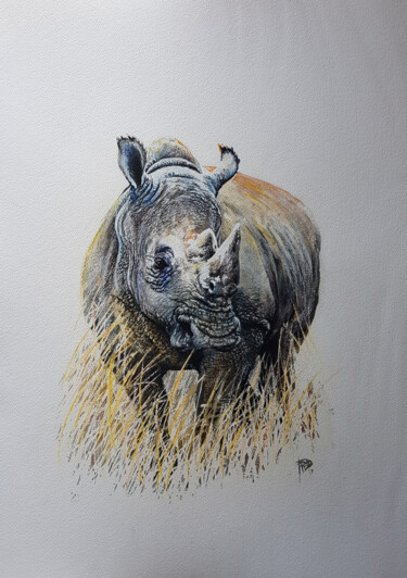 Painting titled "Premier Rhino" by Frédéric Berrin, Original Artwork, Watercolor
