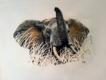 Peinture intitulée "Premier Eléphant" par Frédéric Berrin, Œuvre d'art originale, Encre
