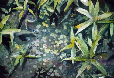 Peinture intitulée "Premières Eaux" par Frédéric Berrin, Œuvre d'art originale, Aquarelle
