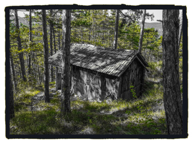Photographie intitulée "Cabane forestière" par Frédéric Bons, Œuvre d'art originale, Photographie numérique