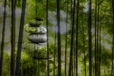 Fotografia intitulada "Bambou Zen" por Frederic Bos, Obras de arte originais, Foto Montagem