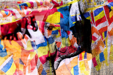 Fotografie mit dem Titel "Sri lanka Elephant" von Frederic Bos, Original-Kunstwerk, Manipulierte Fotografie