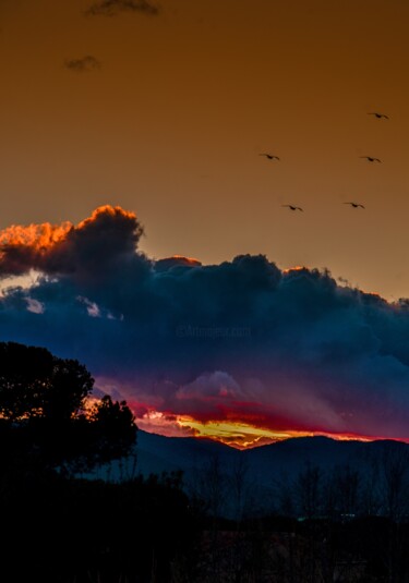 Fotografía titulada "Couché de soleil.." por Frederic Dupuy, Obra de arte original, Fotografía digital