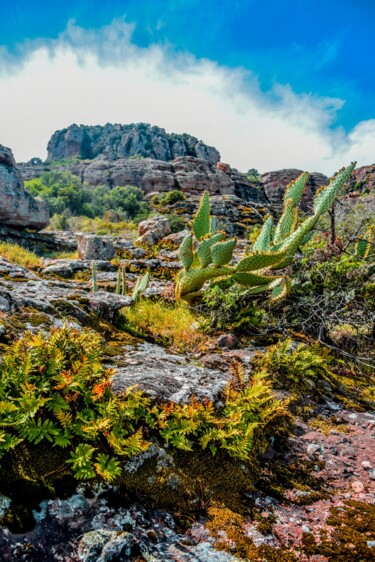 Photographie intitulée "rocher Roquebrune" par Frederic Dupuy, Œuvre d'art originale, Photographie numérique