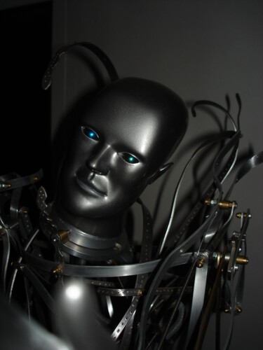 雕塑 标题为“Automate N° 4” 由Frédéric Letrun, 原创艺术品, 金属