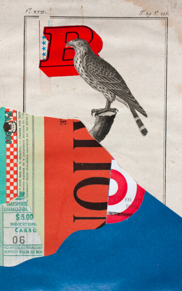 Collages intitulée "L'aigle B" par Frédéric Villbrandt, Œuvre d'art originale, Collages