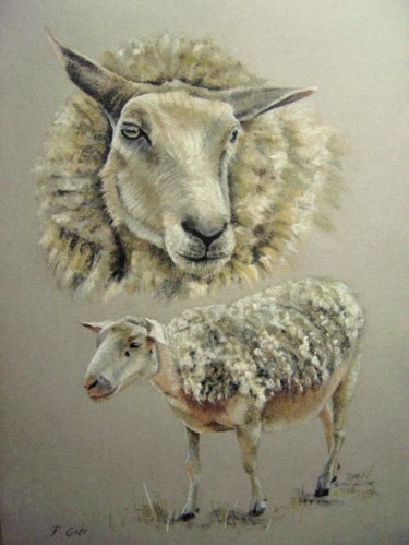 Dessin intitulée "mouton pastel" par Frederic Goze, Œuvre d'art originale, Autre