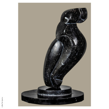 Escultura intitulada "2015" por Frederique De Meester, Obras de arte originais, Pedra