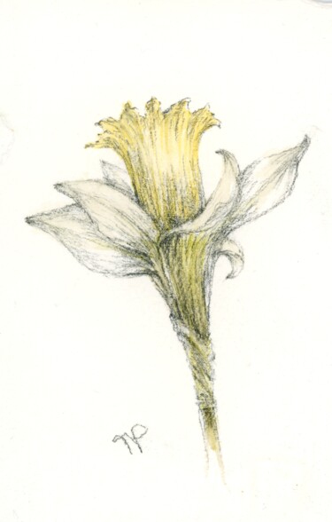 Drawing titled "Narcisse" by Frédérique Poisson, Original Artwork, Watercolor