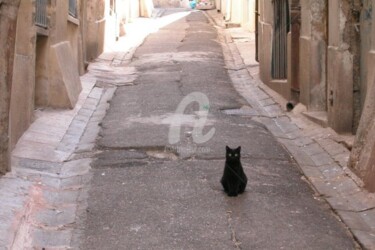 Photographie intitulée "chat des rues" par Frédérique Ziolko, Œuvre d'art originale