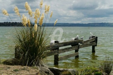 Photographie intitulée "Lake Rotorua" par Frédérique Ziolko, Œuvre d'art originale