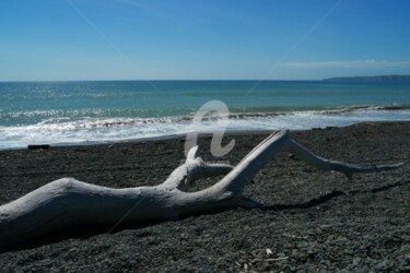 Photography titled "Haumoana Beach" by Frédérique Ziolko, Original Artwork
