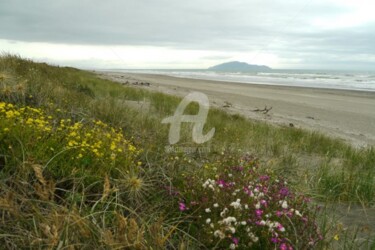 Photographie intitulée "Otaki" par Frédérique Ziolko, Œuvre d'art originale