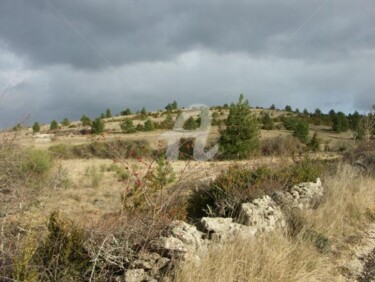 Photographie intitulée "Larzac" par Frédérique Ziolko, Œuvre d'art originale