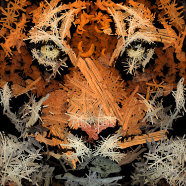 Arts numériques intitulée "Tiger Out Of Woods 1" par Frédéric Durieu & Nathalie Erin, Œuvre d'art originale, Travail numériq…
