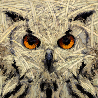 Arte digital titulada "Owl Out Of Woods 1" por Frédéric Durieu & Nathalie Erin, Obra de arte original, Trabajo Digital 2D Mo…