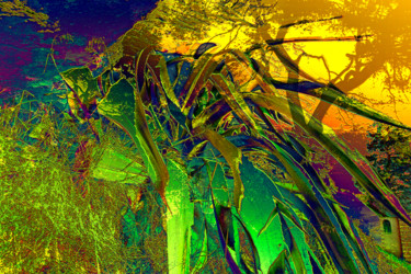 Digitale Kunst mit dem Titel "Agave.jpg" von Frédérique Négrié, Original-Kunstwerk, Digitale Malerei
