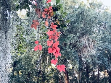 Fotografie getiteld "Red leafs" door Freja, Origineel Kunstwerk, Digitale fotografie