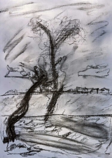 Dessin intitulée "Strand-Bäume l Beac…" par Friedrich Adrian, Œuvre d'art originale, Fusain
