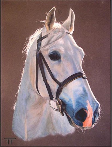 Painting titled "CHEVAL GRIS" by Laurent Frison, Original Artwork, Other