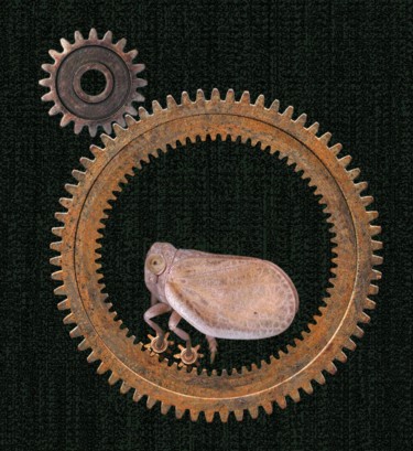 Arts numériques intitulée "animal domestique a…" par Frits Sergeant, Œuvre d'art originale, Photo montage