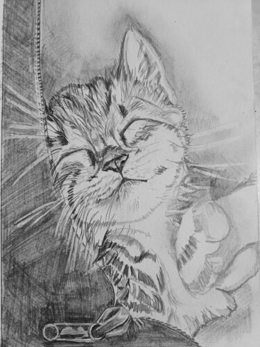 Desenho intitulada "Just a cat" por Ftvladi_art, Obras de arte originais, Lápis