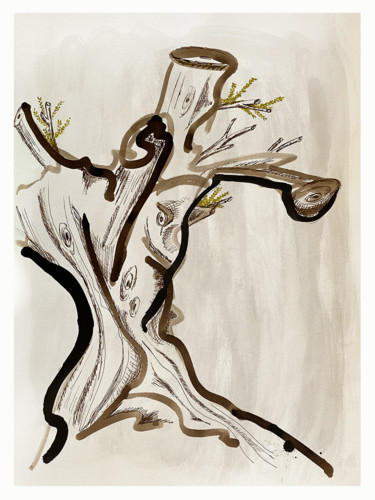 Dessin intitulée "olivier" par Tomé, Œuvre d'art originale, Encre