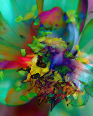 Arte digitale intitolato "strange-flowers-04" da Gabriel Cotelle, Opera d'arte originale
