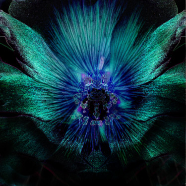 Arte digital titulada "strange-flowers-07" por Gabriel Cotelle, Obra de arte original