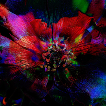 Arts numériques intitulée "strange-flowers-12" par Gabriel Cotelle, Œuvre d'art originale