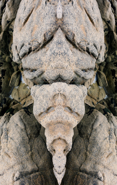 Photographie intitulée "Monstre minéral-02" par Gabriel Cotelle, Œuvre d'art originale, Photographie manipulée